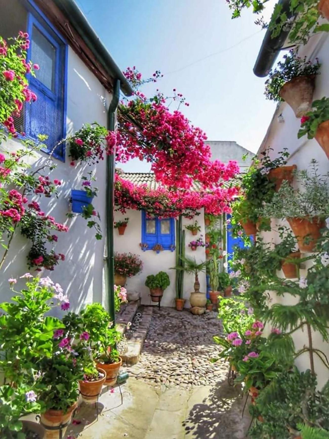 Nieves Viejas Los Patios Cordoba Dış mekan fotoğraf