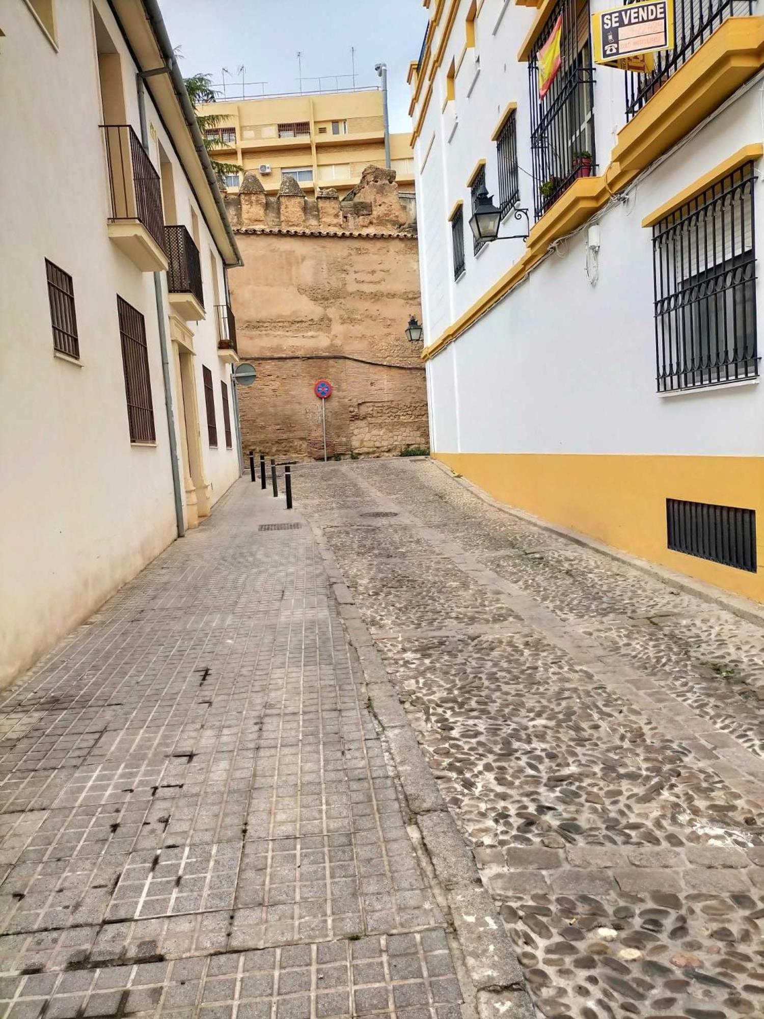 Nieves Viejas Los Patios Cordoba Dış mekan fotoğraf